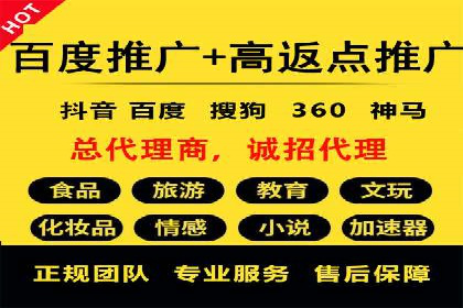 专业sem托管服务案例，揭秘广告投放优化策略